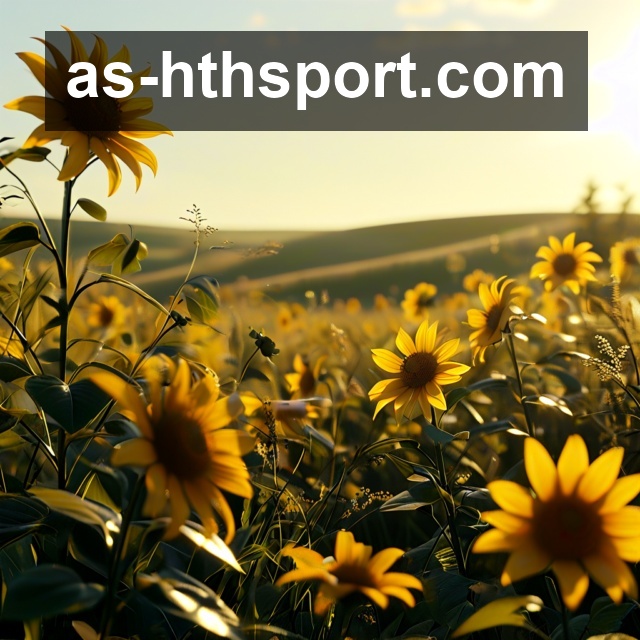 华体会体育生态图